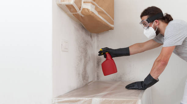 Professional Attic Mold Remediation technician working in Mickleton, NJ