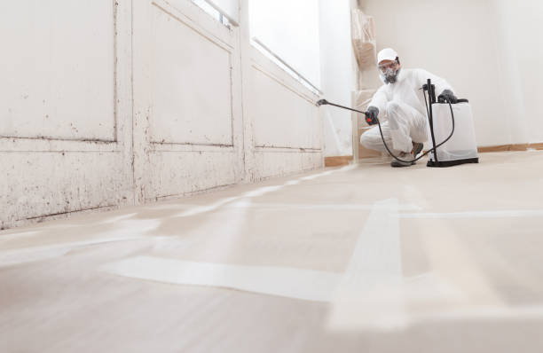 24/7 Emergency Attic Mold Remediation experts in Mickleton, NJ